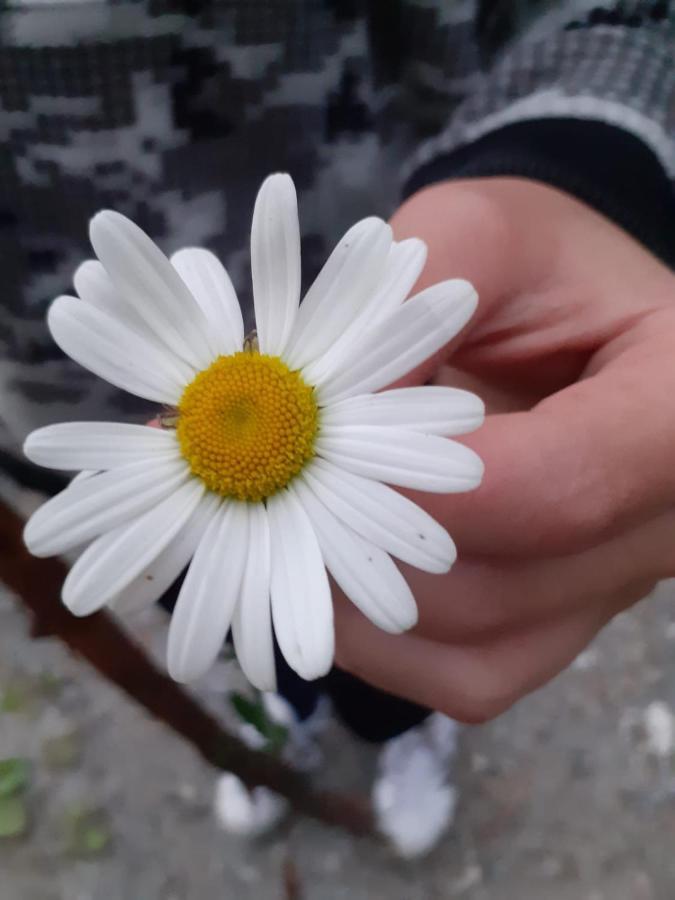 Appartamento Signorile Con Giardino Aosta Exteriér fotografie