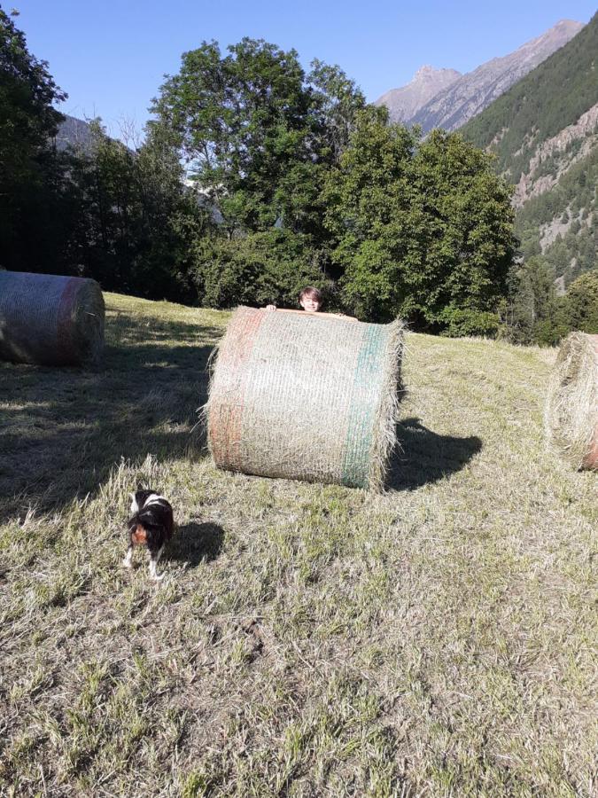 Appartamento Signorile Con Giardino Aosta Exteriér fotografie
