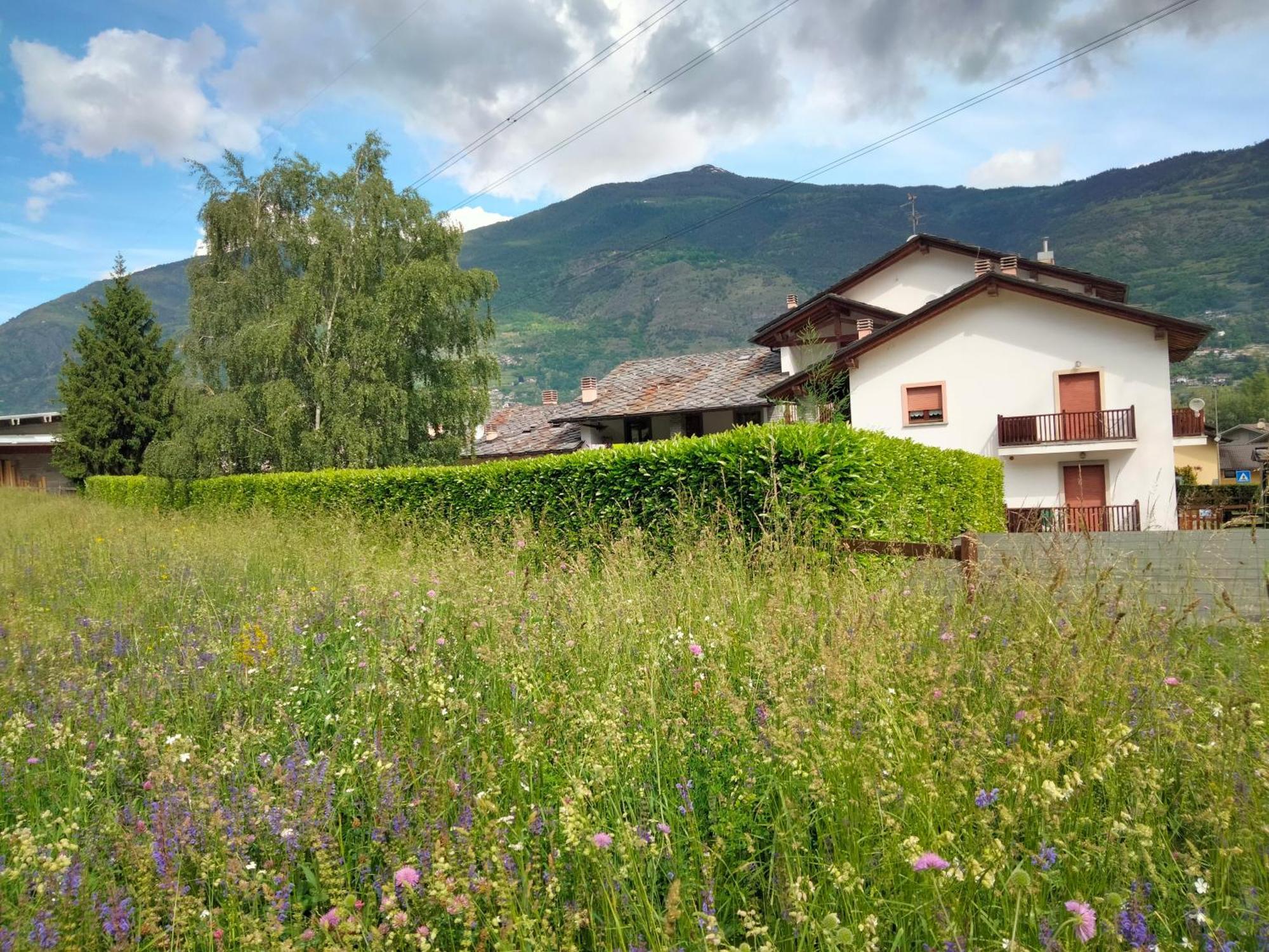 Appartamento Signorile Con Giardino Aosta Exteriér fotografie